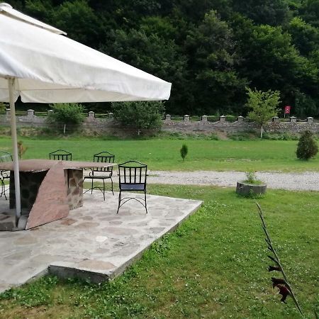 Pensiunea La Busu -Bigar Bozovici Exterior foto