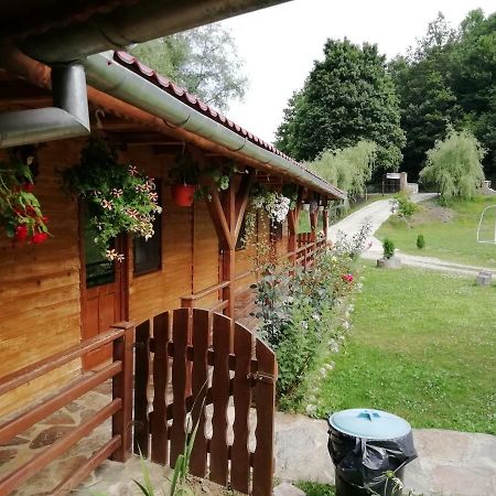 Pensiunea La Busu -Bigar Bozovici Exterior foto