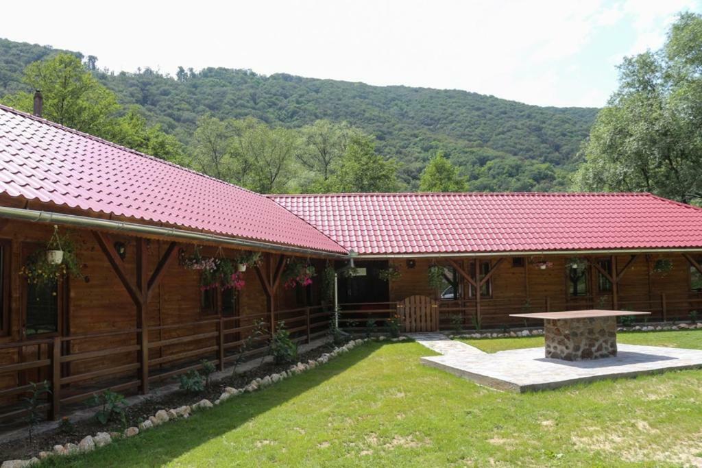 Pensiunea La Busu -Bigar Bozovici Exterior foto