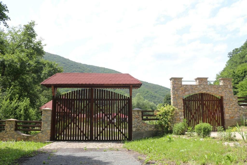Pensiunea La Busu -Bigar Bozovici Exterior foto