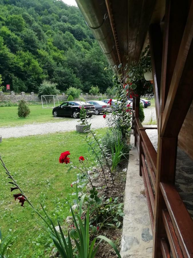 Pensiunea La Busu -Bigar Bozovici Exterior foto