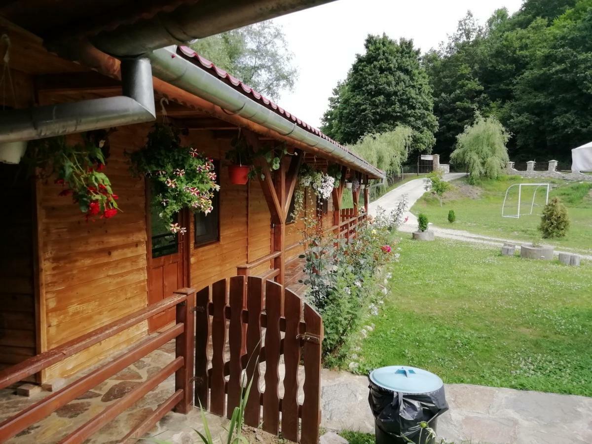 Pensiunea La Busu -Bigar Bozovici Exterior foto