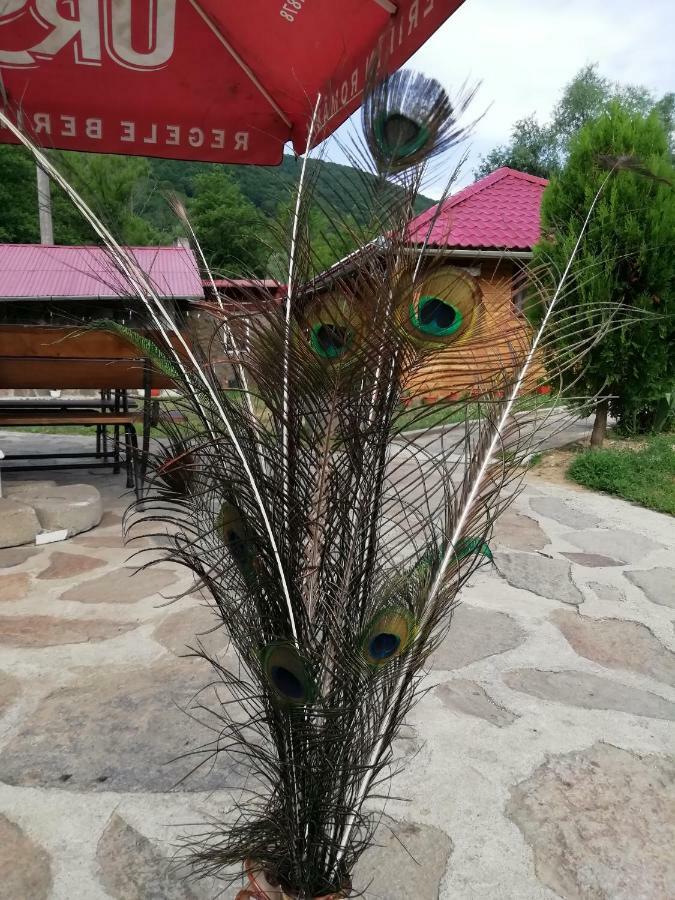 Pensiunea La Busu -Bigar Bozovici Exterior foto